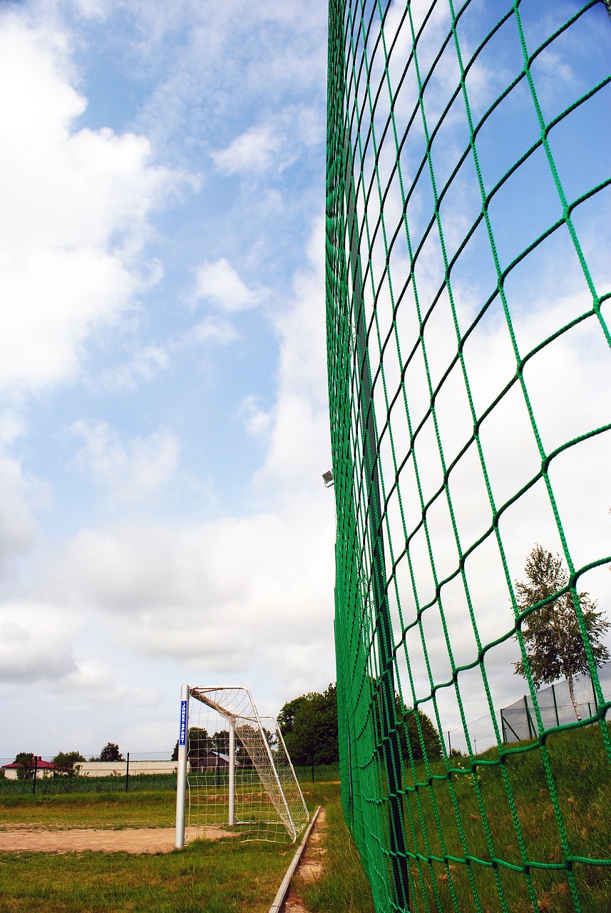 合作精神和 合作精神和