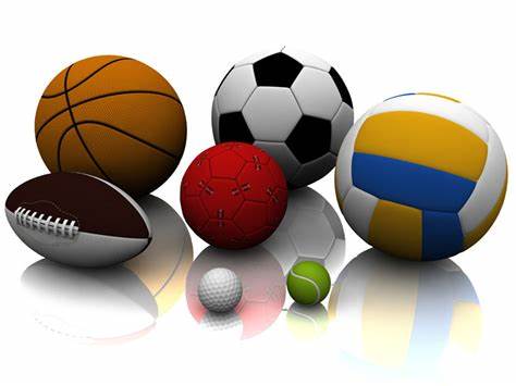 松的一位参 松的一位参